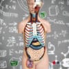 Structure & function of the human body